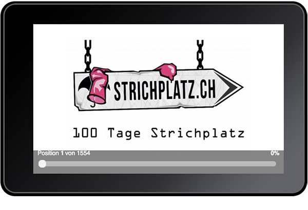 E-Pub 100 Tage